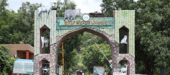 Gautala Wildlife Sanctuary
